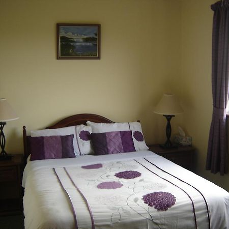 Clarinbridge Springlawn Bed & Breakfast 部屋 写真