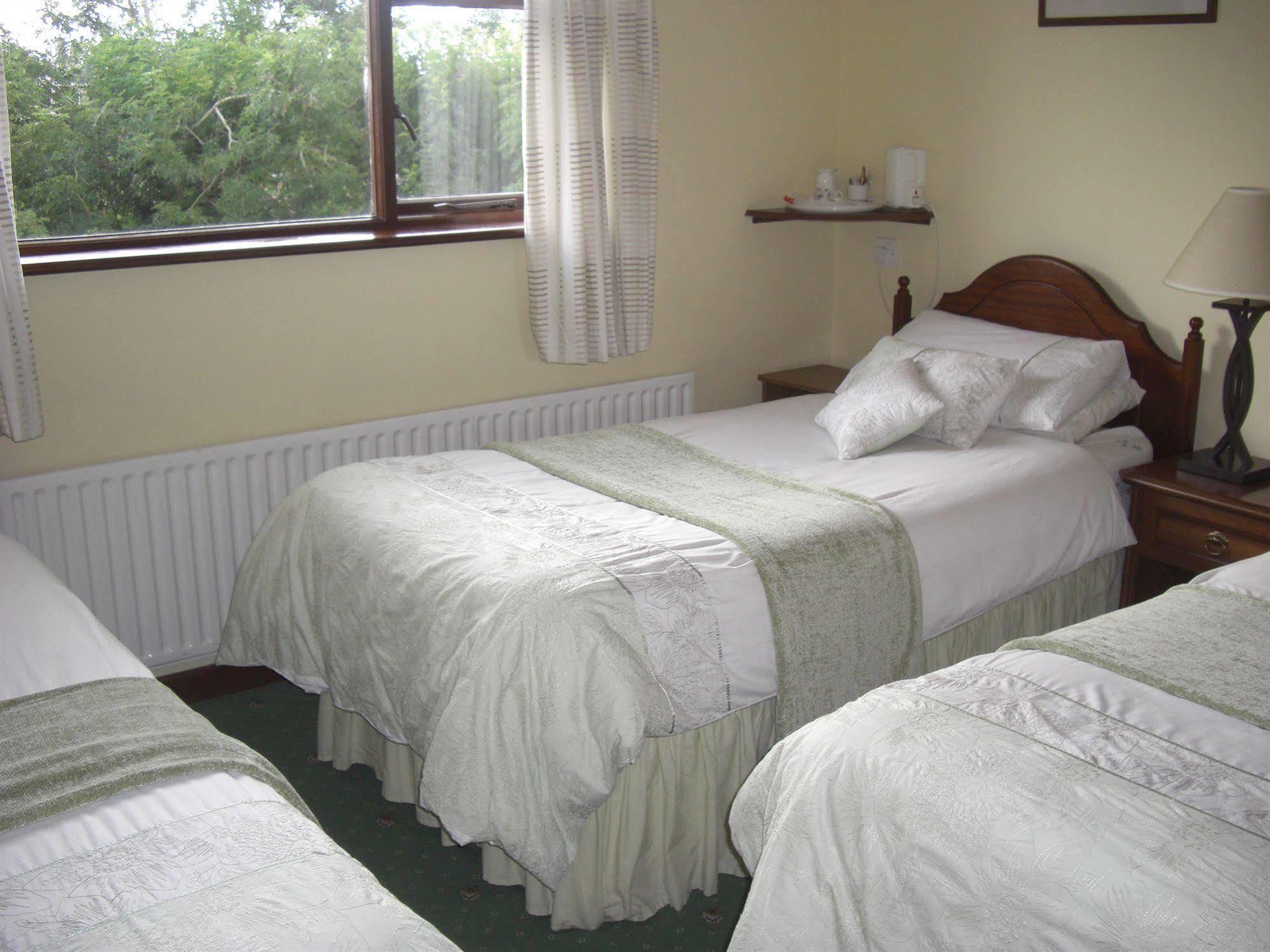 Clarinbridge Springlawn Bed & Breakfast エクステリア 写真